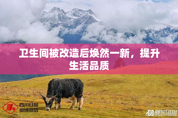 卫生间被改造后焕然一新，提升生活品质