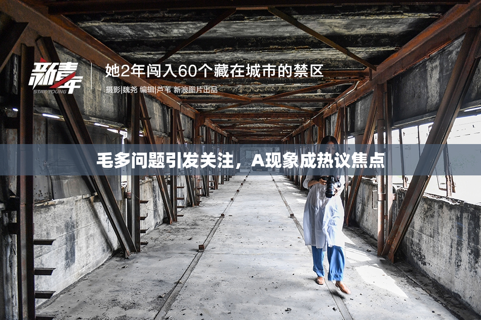 毛多问题引发关注，A现象成热议焦点