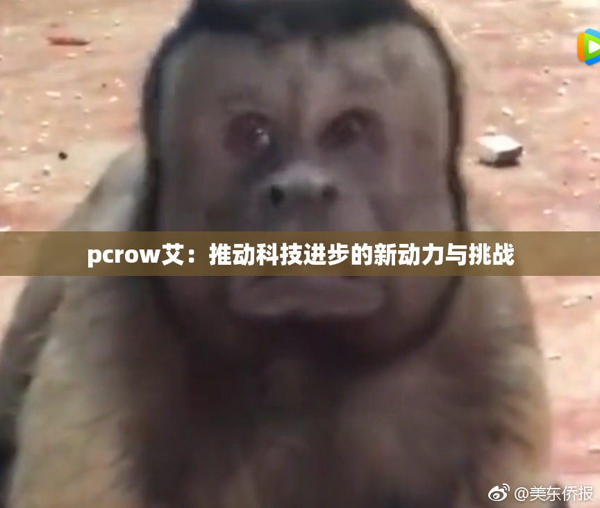pcrow艾：推动科技进步的新动力与挑战