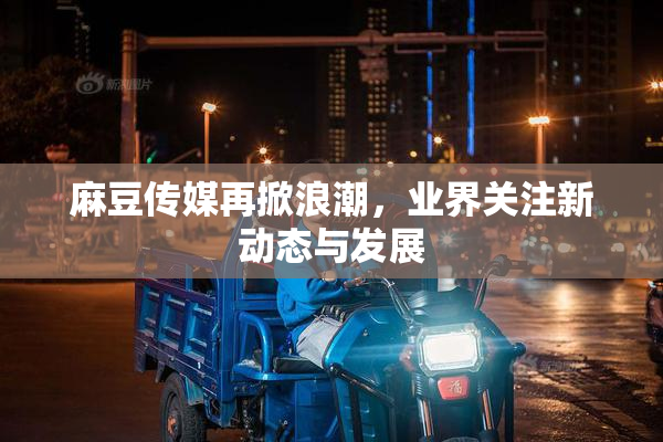 麻豆传媒再掀浪潮，业界关注新动态与发展