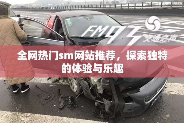 全网热门sm网站推荐，探索独特的体验与乐趣