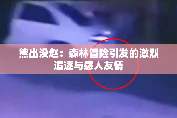 熊出没赵：森林冒险引发的激烈追逐与感人友情