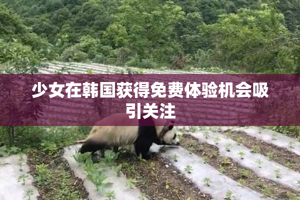 少女在韩国获得免费体验机会吸引关注