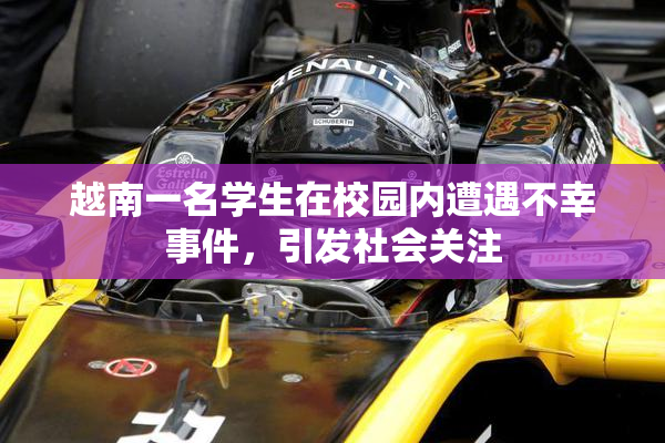 越南一名学生在校园内遭遇不幸事件，引发社会关注
