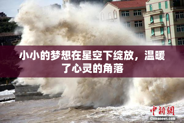 小小的梦想在星空下绽放，温暖了心灵的角落