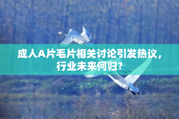 成人A片毛片相关讨论引发热议，行业未来何归？