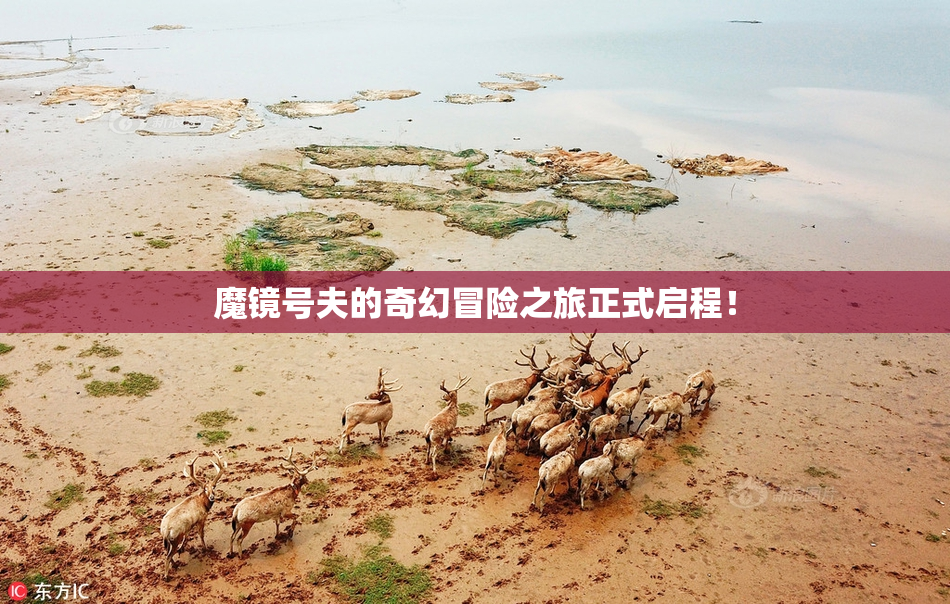 魔镜号夫的奇幻冒险之旅正式启程！