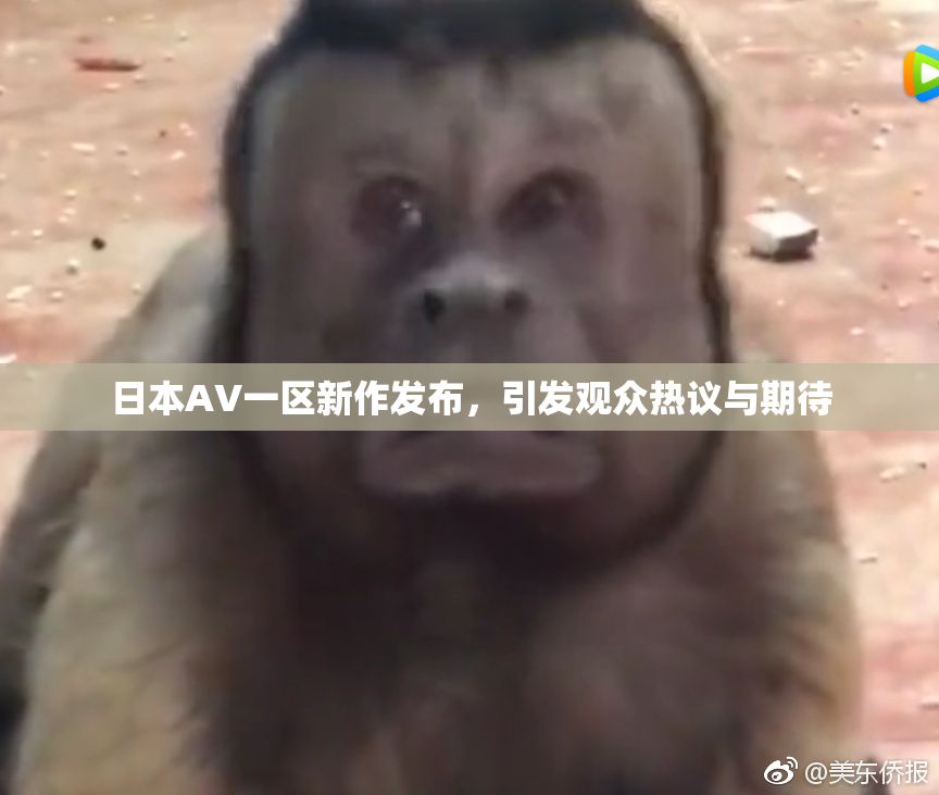 日本AV一区新作发布，引发观众热议与期待