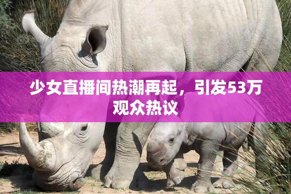 少女直播间热潮再起，引发53万观众热议