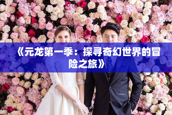 《元龙第一季：探寻奇幻世界的冒险之旅》