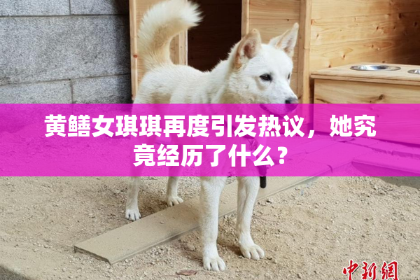黄鳝女琪琪再度引发热议，她究竟经历了什么？