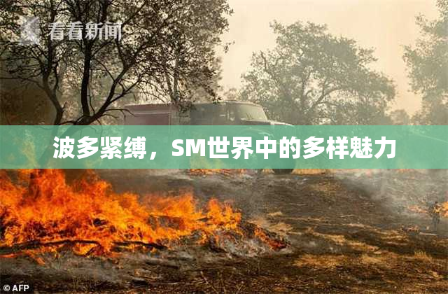 波多紧缚，SM世界中的多样魅力