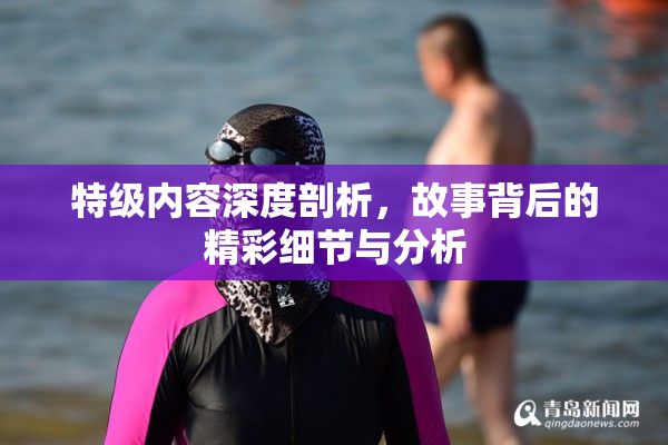 特级内容深度剖析，故事背后的精彩细节与分析