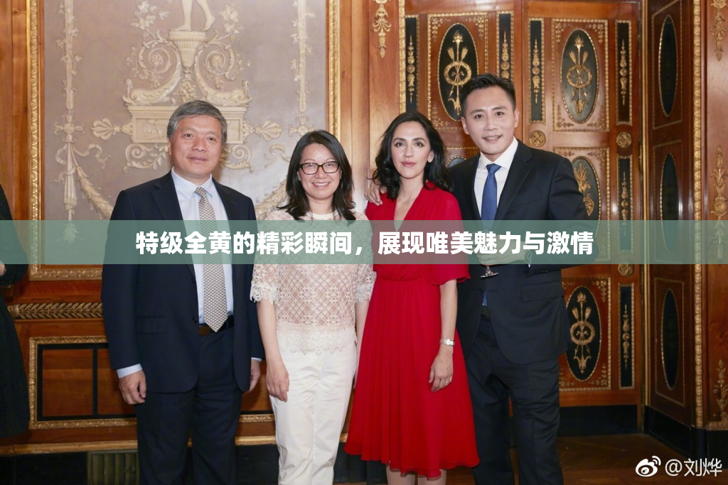 特级全黄的精彩瞬间，展现唯美魅力与激情