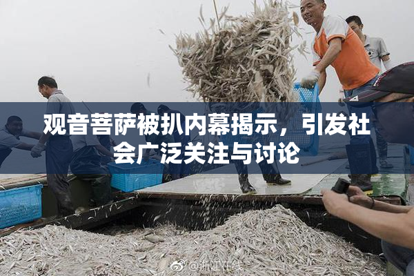 观音菩萨被扒内幕揭示，引发社会广泛关注与讨论