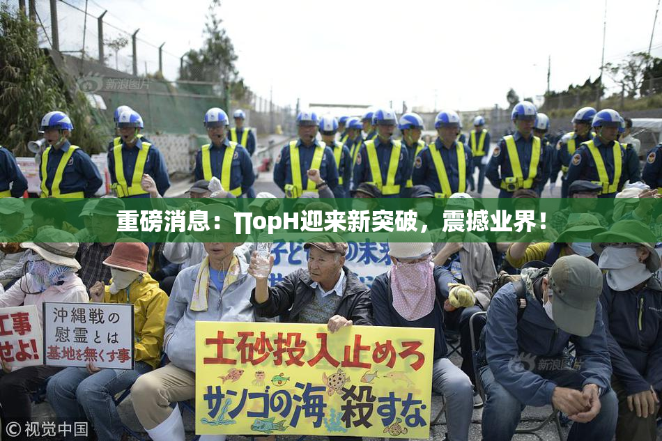 重磅消息：∏opH迎来新突破，震撼业界！