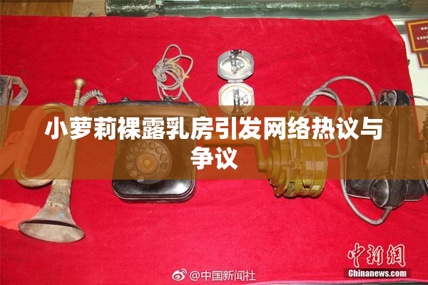 小萝莉裸露乳房引发网络热议与争议