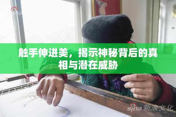 触手伸进美，揭示神秘背后的真相与潜在威胁