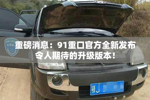 重磅消息：91重口官方全新发布令人期待的升级版本！