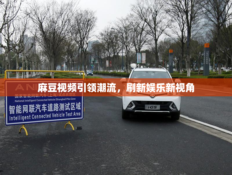 麻豆视频引领潮流，刷新娱乐新视角
