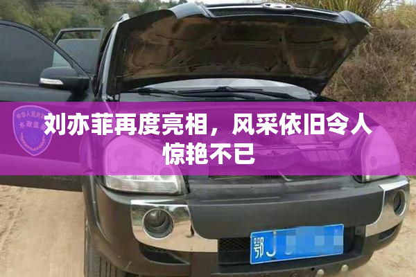 刘亦菲再度亮相，风采依旧令人惊艳不已
