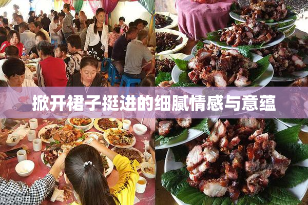 掀开裙子挺进的细腻情感与意蕴