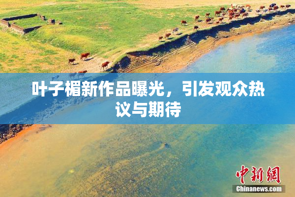 叶子楣新作品曝光，引发观众热议与期待