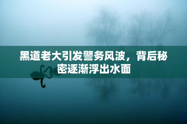 黑道老大引发警务风波，背后秘密逐渐浮出水面