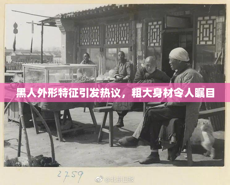 黑人外形特征引发热议，粗大身材令人瞩目