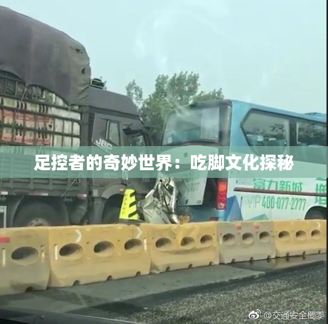 足控者的奇妙世界：吃脚文化探秘