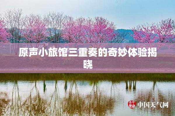 原声小旅馆三重奏的奇妙体验揭晓