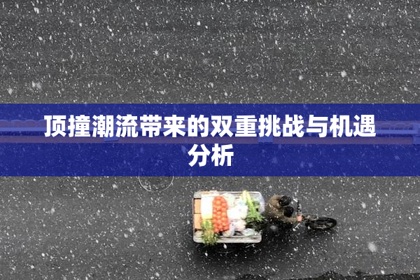 顶撞潮流带来的双重挑战与机遇分析
