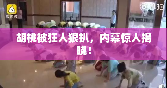 胡桃被狂人狠扒，内幕惊人揭晓！