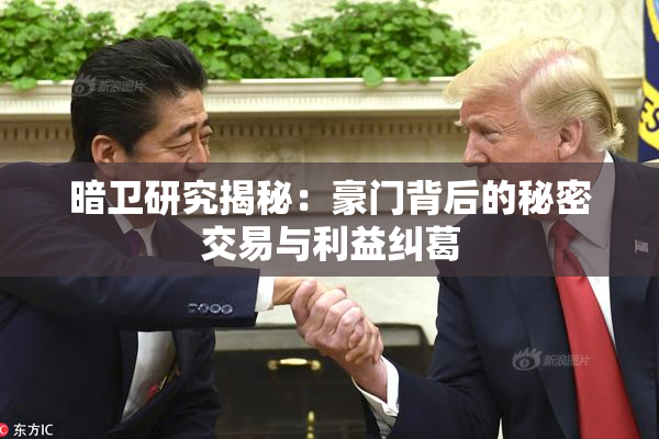 暗卫研究揭秘：豪门背后的秘密交易与利益纠葛
