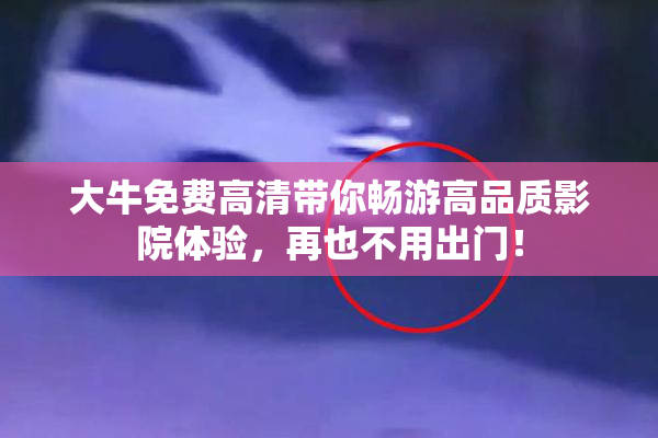 大牛免费高清带你畅游高品质影院体验，再也不用出门！