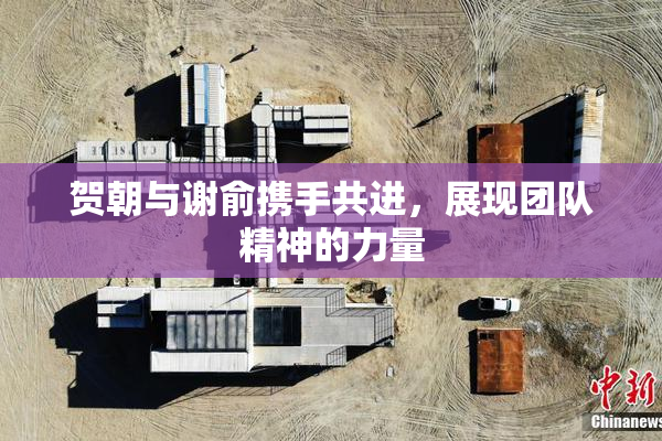 贺朝与谢俞携手共进，展现团队精神的力量