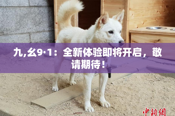九,幺9·1：全新体验即将开启，敬请期待！