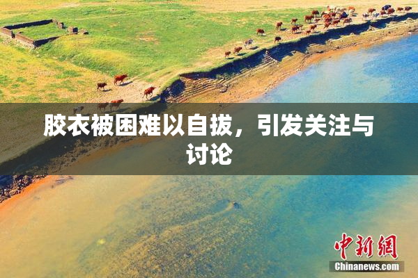胶衣被困难以自拔，引发关注与讨论