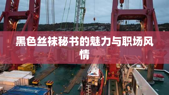 黑色丝袜秘书的魅力与职场风情
