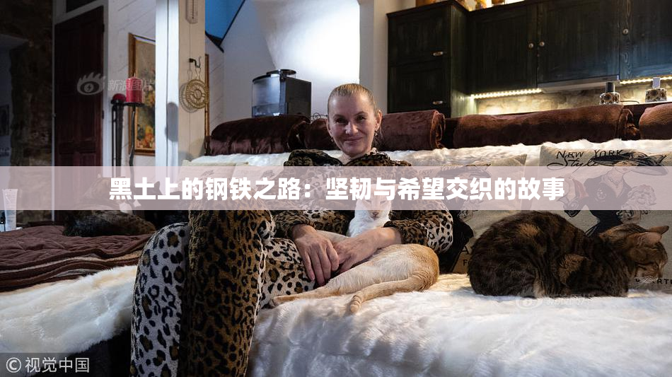 黑土上的钢铁之路：坚韧与希望交织的故事