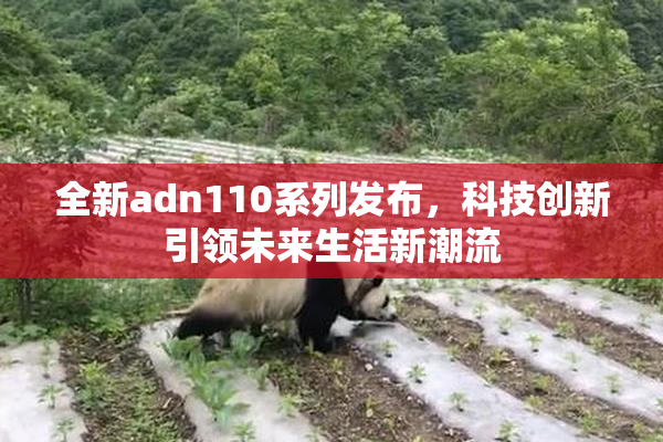 全新adn110系列发布，科技创新引领未来生活新潮流