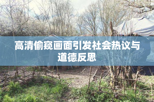 高清偷窥画面引发社会热议与道德反思