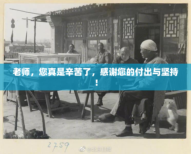 老师，您真是辛苦了，感谢您的付出与坚持！