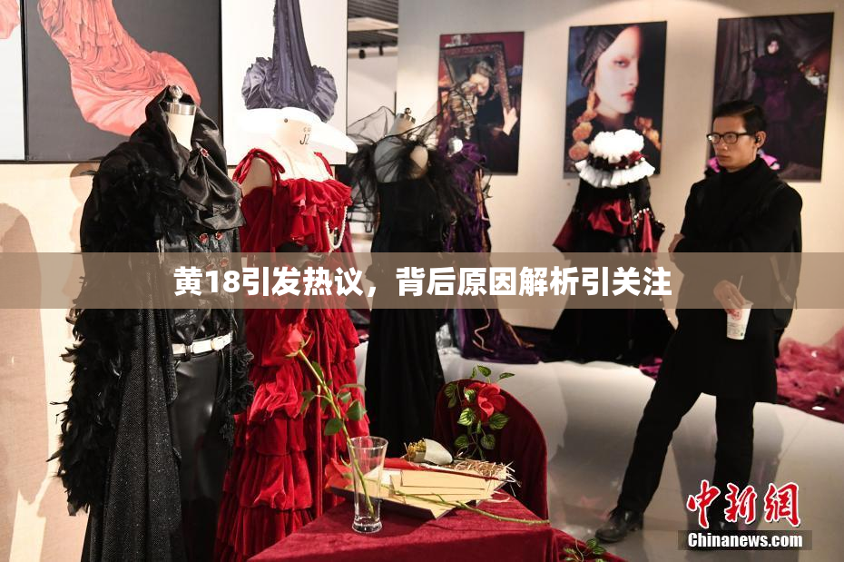 黄18引发热议，背后原因解析引关注