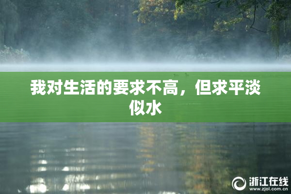 我对生活的要求不高，但求平淡似水