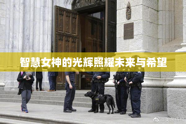 智慧女神的光辉照耀未来与希望