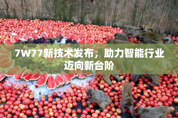 7W77新技术发布，助力智能行业迈向新台阶