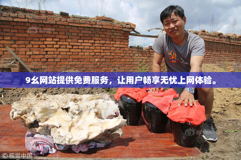 9幺网站提供免费服务，让用户畅享无忧上网体验。
