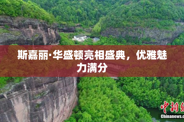 斯嘉丽·华盛顿亮相盛典，优雅魅力满分