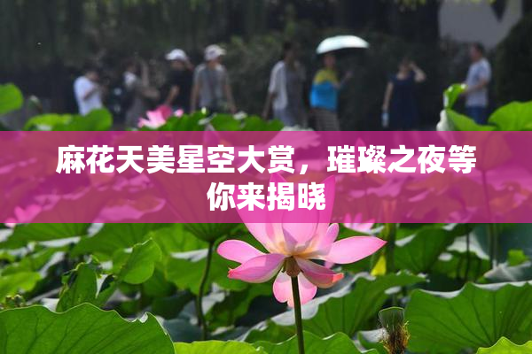 麻花天美星空大赏，璀璨之夜等你来揭晓